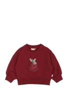 Ppdina Sweat Shirt Burgundy Petit Piao