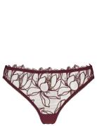 Emily String Burgundy Missya