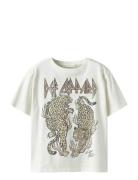 Nkfsuri Defleppard Ss Nreg Top Box Unv Cream Name It