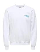 Onsceres Ski Ls Reg Crew Swe Cs White ONLY & SONS