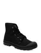 Pampa Hi Black Palladium