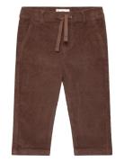 Cotton Corduroy Trousers Brown Mango