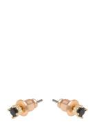 Essence St Ear 3Mm G/Black - Black SNÖ Of Sweden