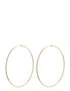 April Mega Hoop Earrings Gold-Plated Gold Pilgrim