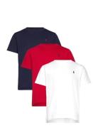 Cotton Jersey Crewneck Tee 3-Pack Patterned Ralph Lauren Kids