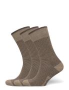 True Stripe Sock Brown Amanda Christensen