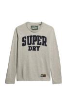 Vintage Athletic Ls Top Grey Superdry