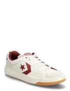 Pro Blaze Classic Cream Converse
