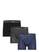 Claudio 3-Pack Tights Black Claudio