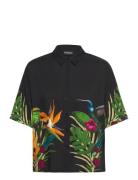 Artemisa Black Desigual