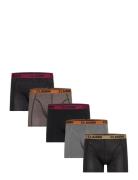 Claudio 5-Pack Tights Patterned Claudio