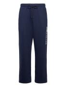 Baggy Terry Logo Sweatpant Navy Hollister