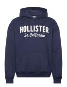 Logo Hw Terry Popover Navy Hollister