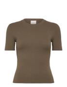 A- Modal Rib Tee Khaki Calvin Klein