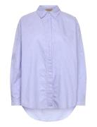 Shelby Solid Oxford Purple Rue De Tokyo