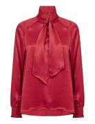 Sc-Hope Red Soyaconcept