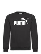 Ess No. 1 Logo Crew Tr B Black PUMA
