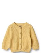 Knit Cardigan Magnella Yellow Wheat