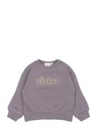Tnstpauletta Os Sweatshirt Purple The New