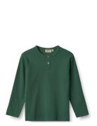 T-Shirt L/S Morris Green Wheat