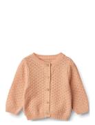 Knit Cardigan Magnella Pink Wheat