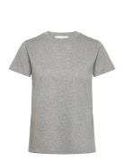 Venus Tshirt Organic Cotton Grey Naja Lauf