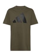J Bl Tee 160 Khaki Adidas Sportswear