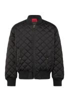 Bicol2541 Black HUGO