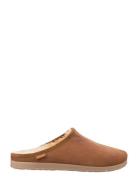 Ludvig Tofflor Brown Shepherd