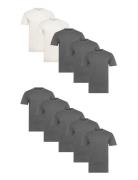 Dp 10 Pack T-Shirt Grey Denim Project
