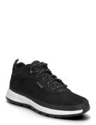 Low Lace Up Sneaker Black Timberland