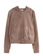 Sweatshirt Velour With Hoodie Beige Lindex
