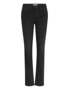 Maggie Valley Black Tiger Of Sweden