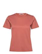 Siru  Tiger Of Sweden