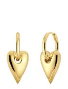 Amore Hoops L Gold Gold Edblad