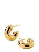 Bolded Little Sis Hoops Gold Gold Syster P