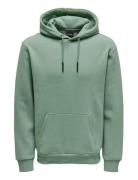 Onsceres Hoodie Sweat Noos Green ONLY & SONS