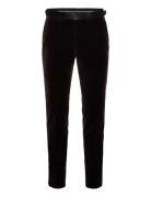 H-Genius-Tux-244 Brown BOSS