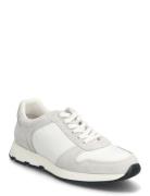 L51 616 Grey TGA By Ahler