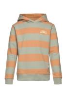 Hoodie Stripe Patterned Daily 7