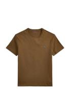 26/1 Jersey-Ssl-Tsh Brown Polo Ralph Lauren