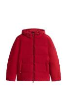 Down Hooded Puffer Jkt Red Tommy Hilfiger