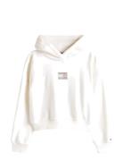 Rhine St Flag Hoodie White Tommy Hilfiger