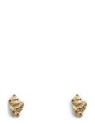 Pcdenna Earrings Box Wp Gold Pieces