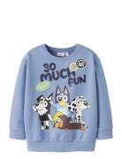 Nmmjared Bluey Nreg Sweat Unb Sky Blue Name It