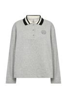 Sc-Angelin Grey Soyaconcept