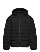 Bomber Jacket Black EA7