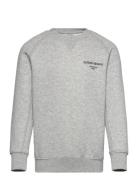 Borg Essential 1 Sweatshirt Grey Björn Borg
