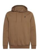 Chris Reg Ho Cot Mcs M Sw Brown MCS