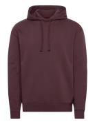 Dapo Burgundy HUGO